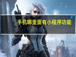 手机哪里面有小程序功能