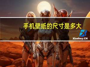 手机壁纸的尺寸是多大（手机壁纸的尺寸）