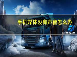 手机媒体没有声音怎么办（手机媒体）