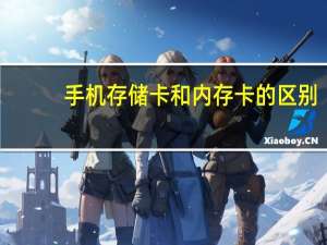 手机存储卡和内存卡的区别（手机存储卡）