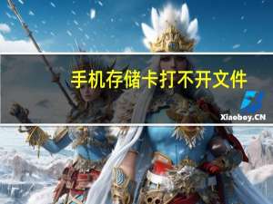 手机存储卡打不开文件（手机存储卡打不开）