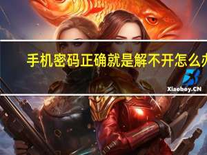 手机密码正确就是解不开怎么办（为什么手机密码正确还是解不开）