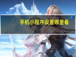 手机小程序设置哪里看