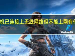 手机已连接上无线网络但不能上网有什么情况