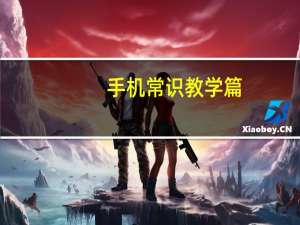 手机常识教学篇:苹果11支持无线充电吗