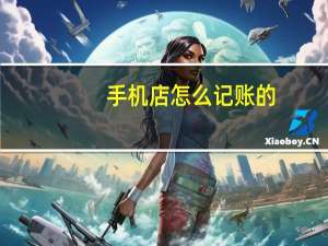 手机店怎么记账的
