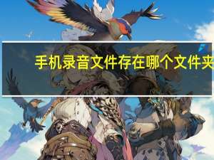 手机录音文件存在哪个文件夹（手机录音）