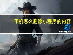手机怎么删除小程序的内容