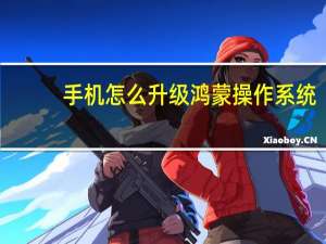 手机怎么升级鸿蒙操作系统（手机怎么升级鸿蒙系统）
