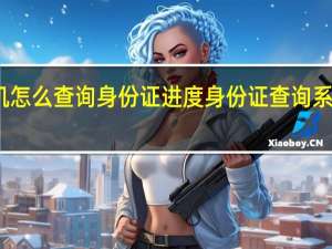 手机怎么查询身份证进度 身份证查询系统带照片