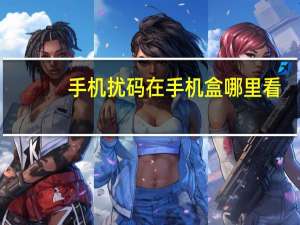 手机扰码在手机盒哪里看（手机扰码）