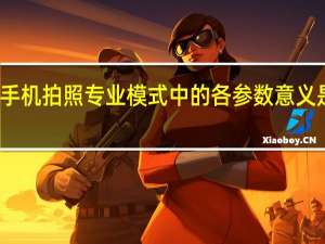 手机拍照专业模式中的各参数意义是什么