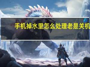 手机掉水里怎么处理老是关机（手机掉水里怎么处理）