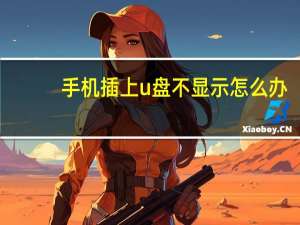 手机插上u盘不显示怎么办（u盘不显示怎么办）