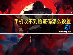 手机收不到验证码怎么设置