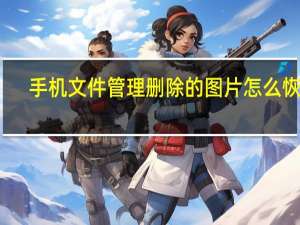 手机文件管理删除的图片怎么恢复（手机文件管理）