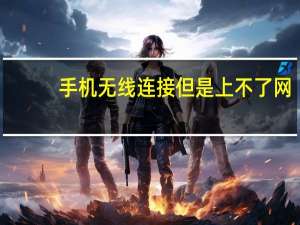 手机无线连接但是上不了网（手机连上无线网却上不了网）