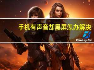手机有声音却黑屏怎办解决（手机有声音却黑屏怎办）