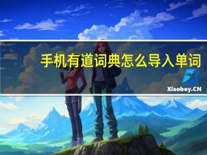手机有道词典怎么导入单词（手机有道词典）