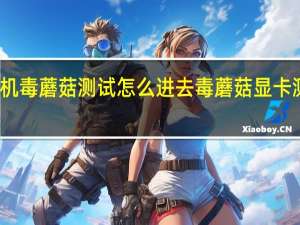 手机毒蘑菇测试怎么进去 毒蘑菇显卡测试网站