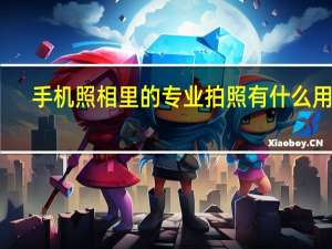 手机照相里的专业拍照有什么用途