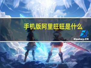 手机版阿里旺旺是什么（手机版阿里旺旺）