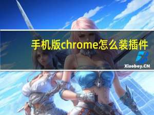 手机版chrome怎么装插件