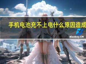 手机电池充不上电什么原因造成的（手机电池充不上电）