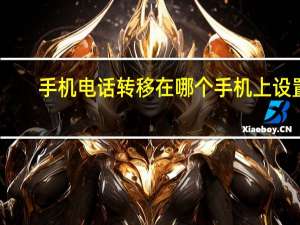 手机电话转移在哪个手机上设置（电话转移到手机怎么设置）