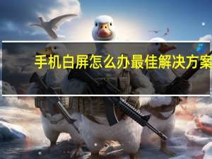 手机白屏怎么办最佳解决方案（手机白屏怎么办）