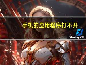 手机的应用程序打不开