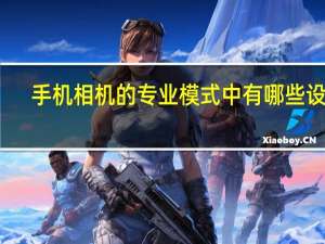手机相机的专业模式中有哪些设置