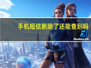 手机短信删除了还能查到吗