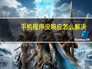 手机程序没响应怎么解决