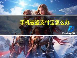手机被盗支付宝怎么办