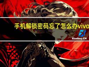 手机解锁密码忘了怎么办vivo（手机解锁密码忘了怎么办）