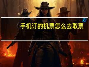 手机订的机票怎么去取票