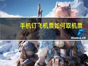 手机订飞机票如何取机票