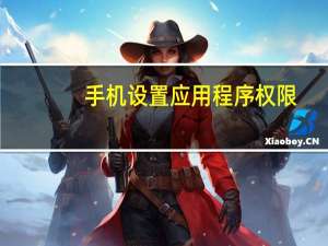 手机设置应用程序权限