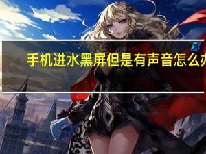 手机进水黑屏但是有声音怎么办（手机进水怎么办呢）