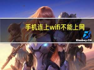 手机连上wifi不能上网（手机wifi上网设置）
