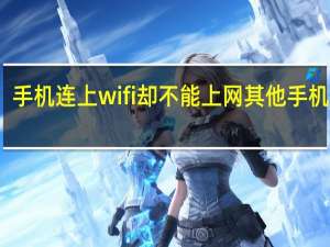 手机连上wifi却不能上网其他手机可以（手机连上wifi却不能上网）