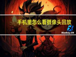 手机里怎么看摄像头回放