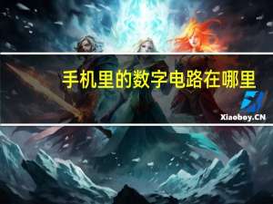 手机里的数字电路在哪里