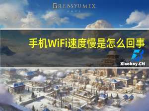 手机WiFi速度慢是怎么回事（手机wifi速度慢）