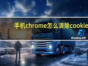手机chrome怎么清除cookie