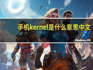 手机kernel是什么意思中文