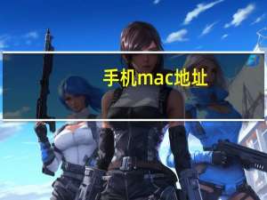 手机mac地址