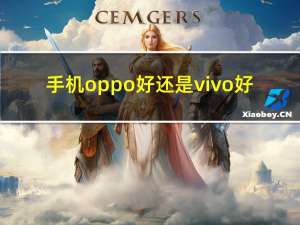 手机oppo好还是vivo好（oppo和vivo手机哪个好）