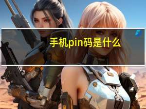 手机pin码是什么（手机pin码是什么）